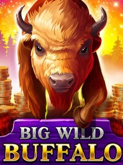Big Wild Buffalo